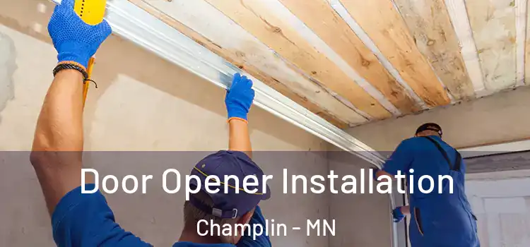  Door Opener Installation Champlin - MN