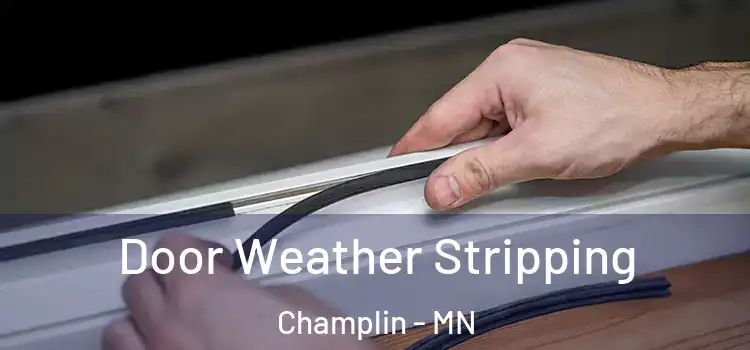  Door Weather Stripping Champlin - MN