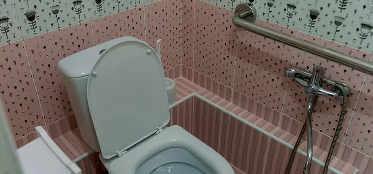 Meeting Diverse Needs With Accessible Restroom Solutions in Champlin, MN